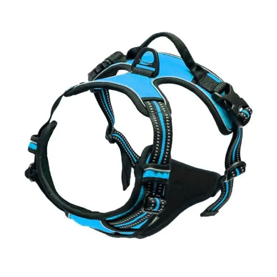 Leather Dog Collar & Harness Set with Leash – Adjustable Vest for Small & Medium Dogs